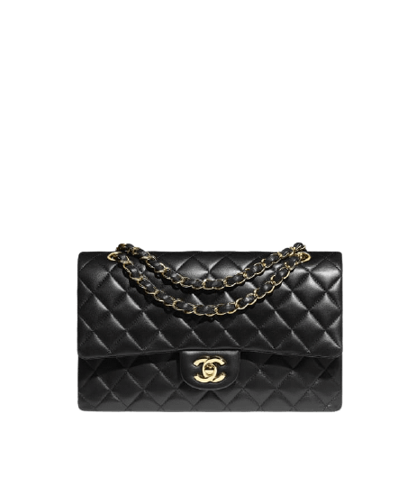 Chanel Brand Handbags - 101 Bags Corner